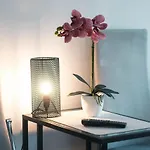 Apartament Loftowy Wypoczynek GoldAir